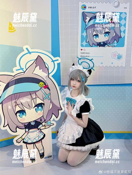 橙喵的全套写真，柴郡的每个瞬间都值得回味！