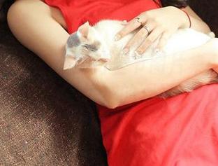 青豆客 – 乔恩夕的万圣节图片集：给你一个有点‘色’的万圣节！